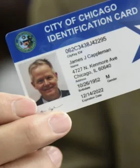 Buy authentic-looking fake Chicago identity card online